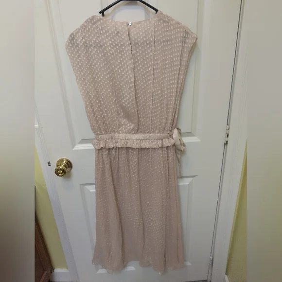 Zara Cream Midi Dress - Picture 10 of 14
